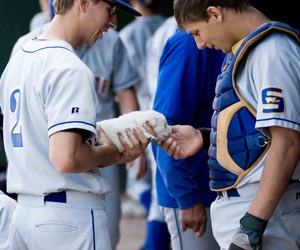 Puppy at the baseball field