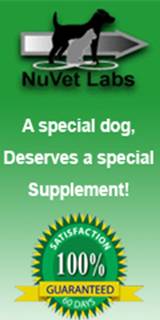 NuVet Supplements